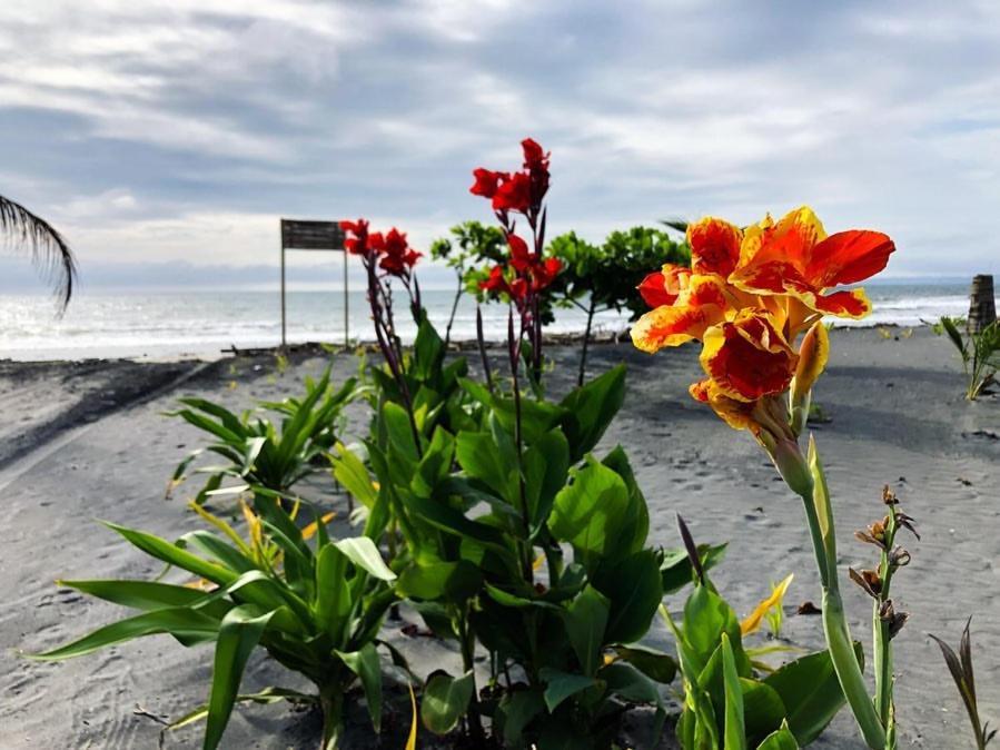 Seaside Garden Ecolodge מומפיצ'ה מראה חיצוני תמונה