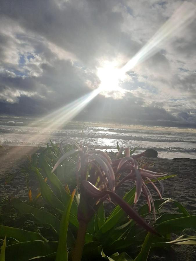 Seaside Garden Ecolodge מומפיצ'ה מראה חיצוני תמונה