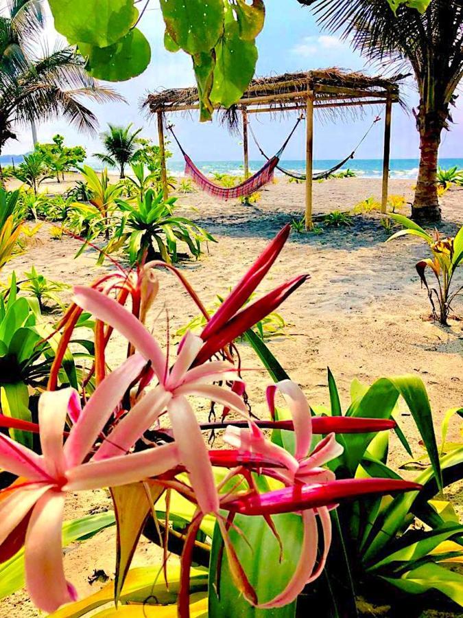 Seaside Garden Ecolodge מומפיצ'ה מראה חיצוני תמונה