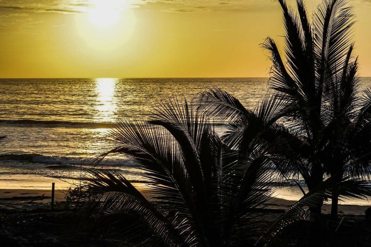 Seaside Garden Ecolodge מומפיצ'ה מראה חיצוני תמונה